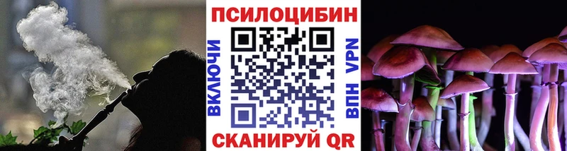 Псилоцибиновые грибы прущие грибы  купить   Верея 